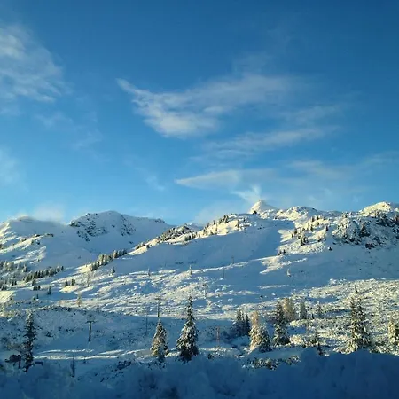 Alpenland Hotel 4*